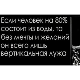 Магнит "Человек без мечты и целей"